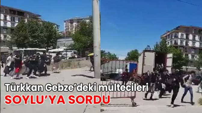 Türkkan Gebze’deki mültecileri Soylu’ya sordu