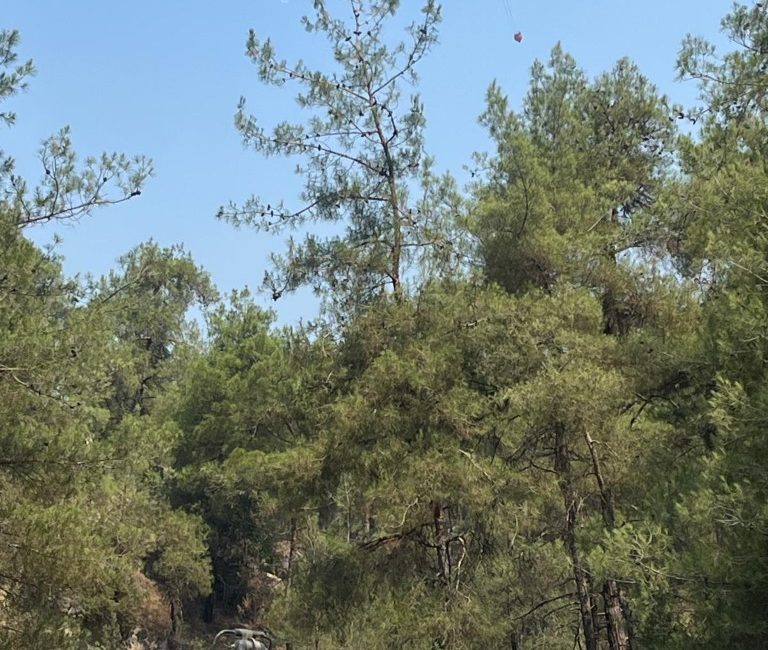 Sakarya'nın Geyve ve Pamukova ilçelerinde çıkan orman yangınına müdahale çalışmaları