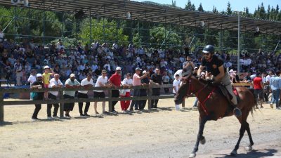 Kocaeli Büyükşehir Belediyesi, Gölcük Belediyesi ve Geleneksel Spor Dalları Federasyonu