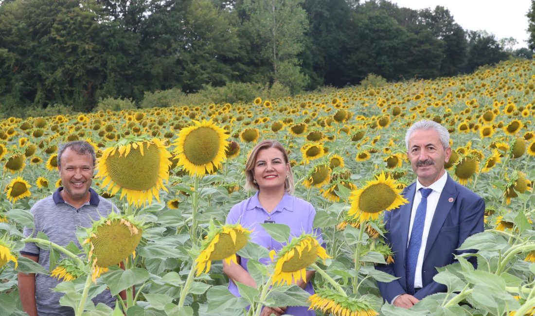 Fatma Başkan, Belediye Başkan Yardımcısı Celal Hülür ve Kırsal Hizmetler