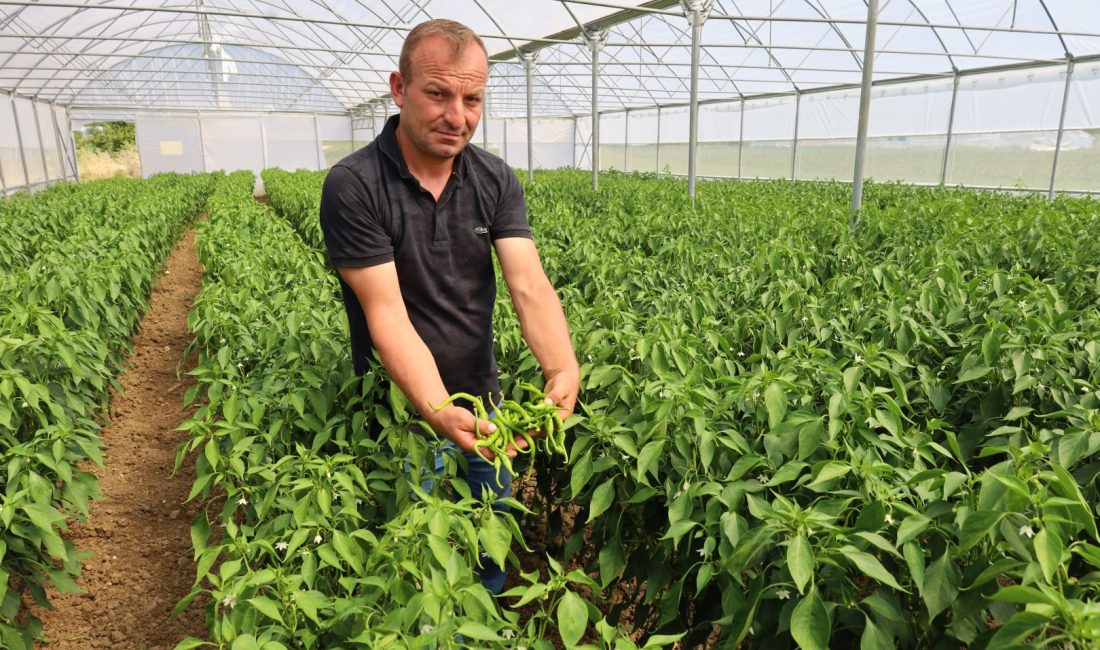 Büyükşehir’in Belediyesi’nin yüzde 50 hibeli gübre ve modern sera desteğinden