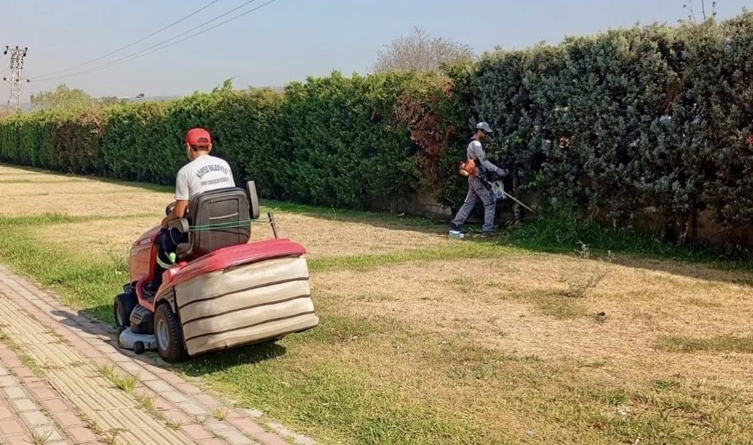 Körfez Belediyesi Park ve Bahçeler Müdürlüğü ekipleri, ilçenin dört bir