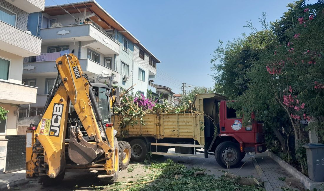 Körfez Belediyesi Park ve Bahçeler Müdürlüğü ekipleri, ilçe genelindeki ağaç