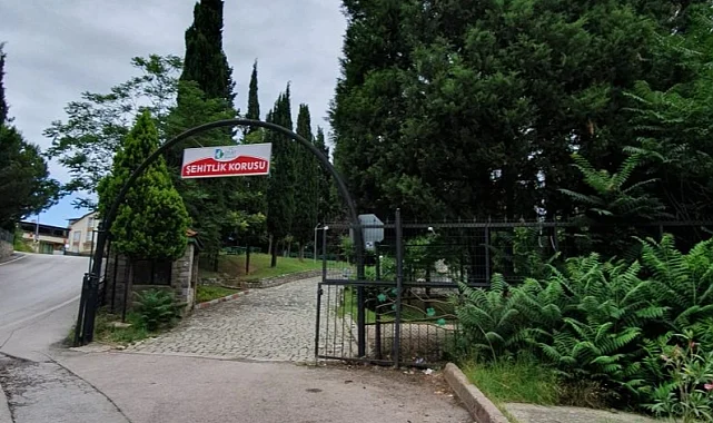 Son dönemde Türkiye’nin dört bir yanında artan orman yangınlarına karşı