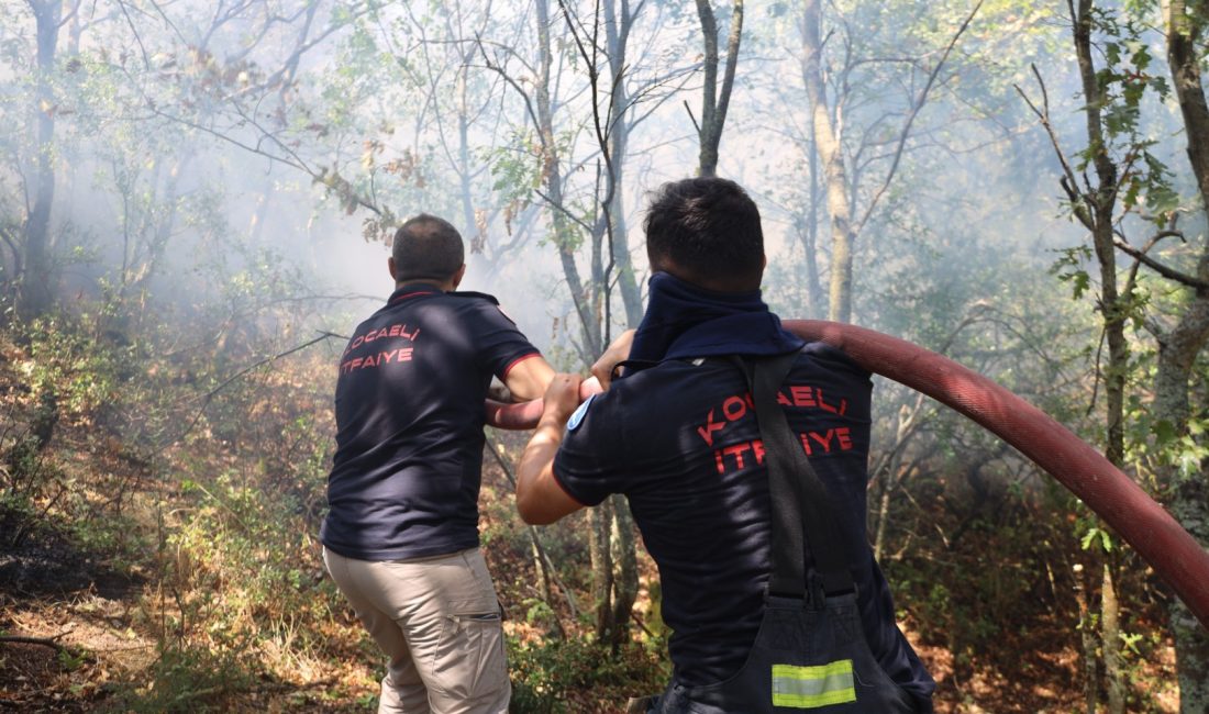 Kocaeli İtfaiyesi, Karamürsel'deki yangına 3 uçak, 8 helikopter, 75 araç