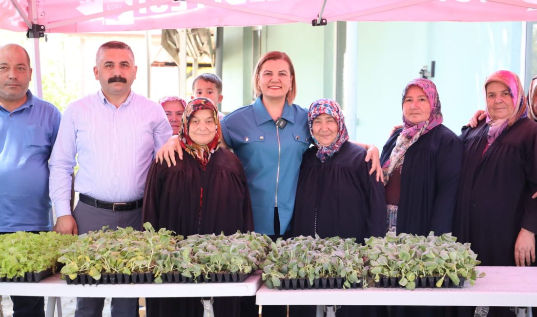 İzmit’te vatandaşlara fide desteği sağlayan İzmit Belediyesi, şimdi de Gebze’nin