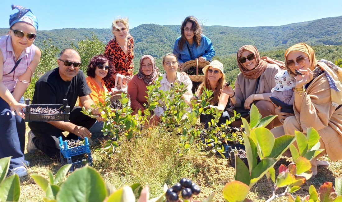 Körfez Kent Konseyi Kadın Meclisi, kadın girişimciliğine destek olmak amacıyla
Dikenli