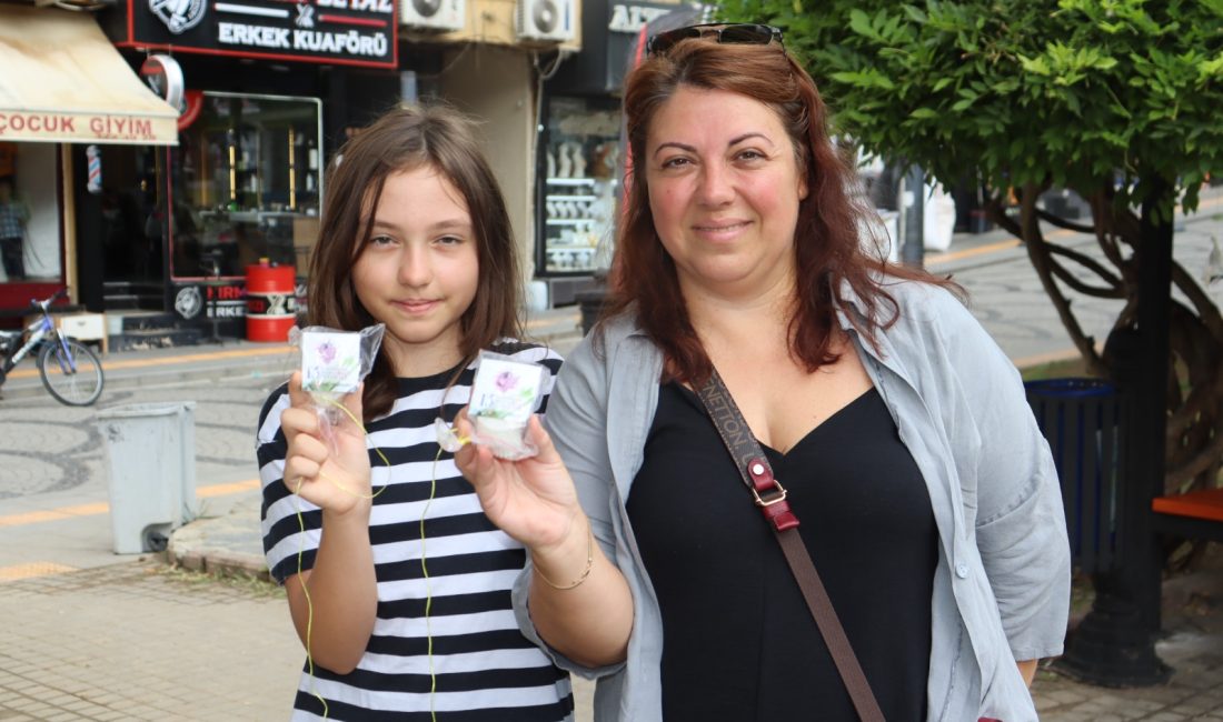 İzmit Belediyesi, 13. Uluslararası İzmit Pişmaniye, Müzik ve Dans Festivali