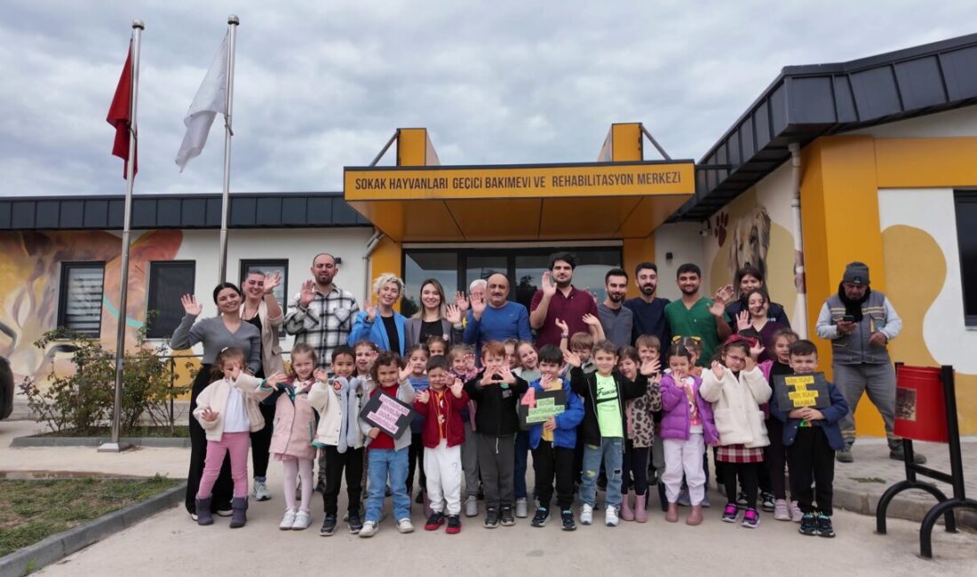 Çayırova Belediyesi Sokak Hayvanları Bakım Evi ve Rehabilitasyon Merkezi, 4