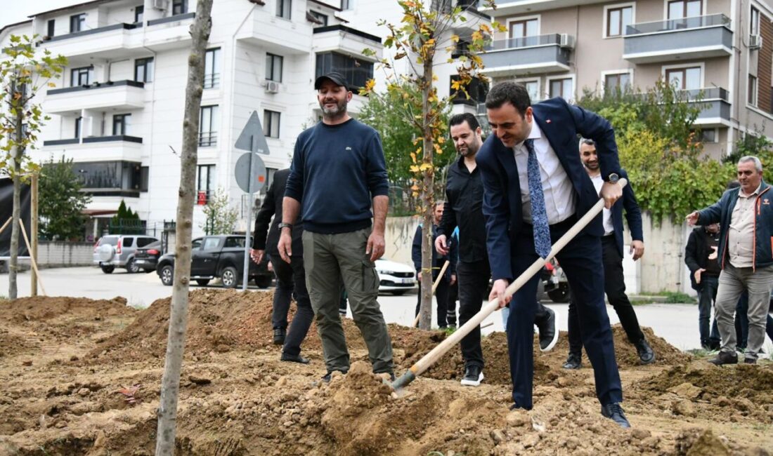 Türkiye genelinde gerçekleştirilen 11 Kasım Milli Ağaçlandırma Günü kapsamında fidan