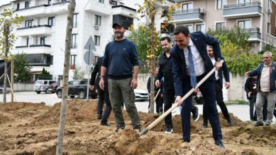 Türkiye genelinde gerçekleştirilen 11 Kasım Milli Ağaçlandırma Günü kapsamında fidan