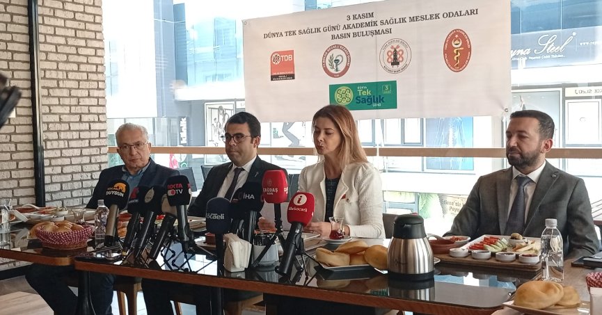 3 Kasım Dünya Tek Sağlık Günü’nde bir araya gelen Kocaeli’deki