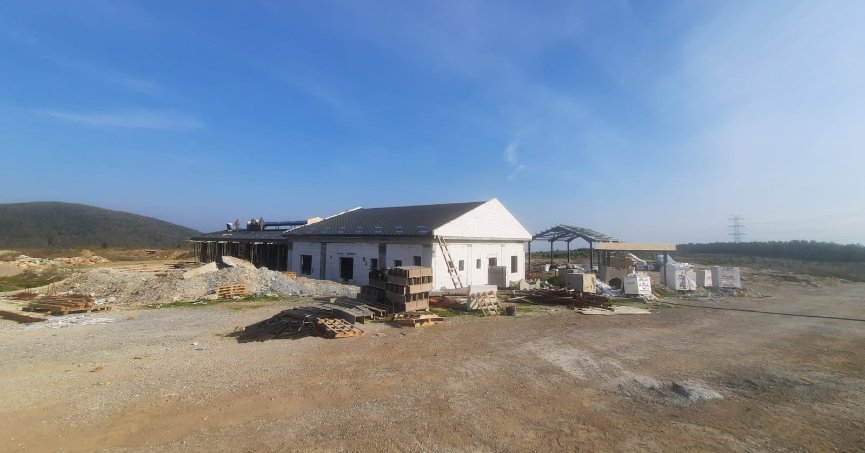 Hayvan dostu İzmit Belediyesi, sokak hayvanlarının modern ve güvenli koşullarda