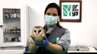 Kocaeli'de Avrupa'nın en büyük doğal yaşam parklarından biri olarak belirtilen