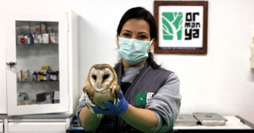 Kocaeli'de Avrupa'nın en büyük doğal yaşam parklarından biri olarak belirtilen