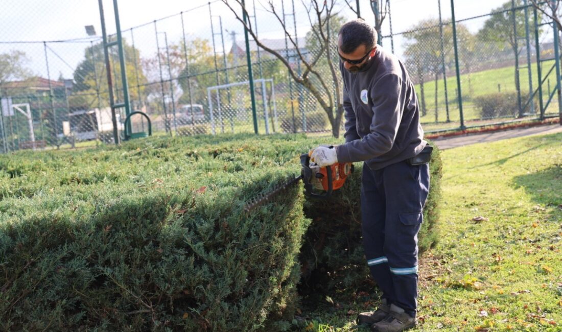 Kartepe Belediyesi Park ve Bahçeler Müdürlüğü ekipleri, ilçe genelindeki ağaçlarda