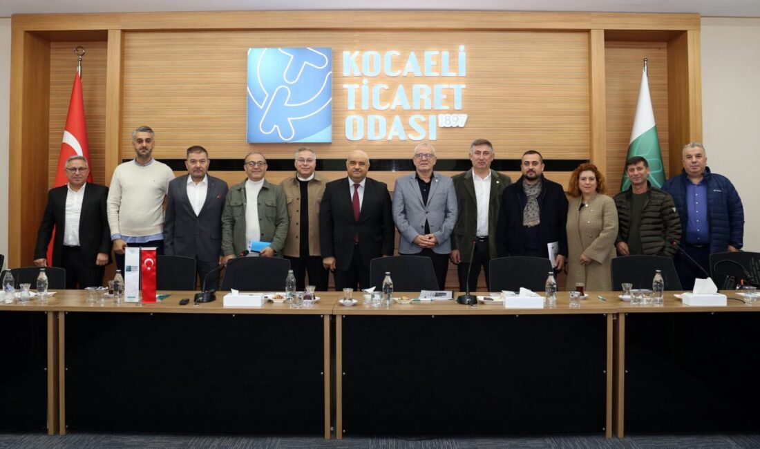 Kocaeli Ticaret Odası 11. Meslek Komitesi (Sağlık Grubu), Sakarya Ticaret