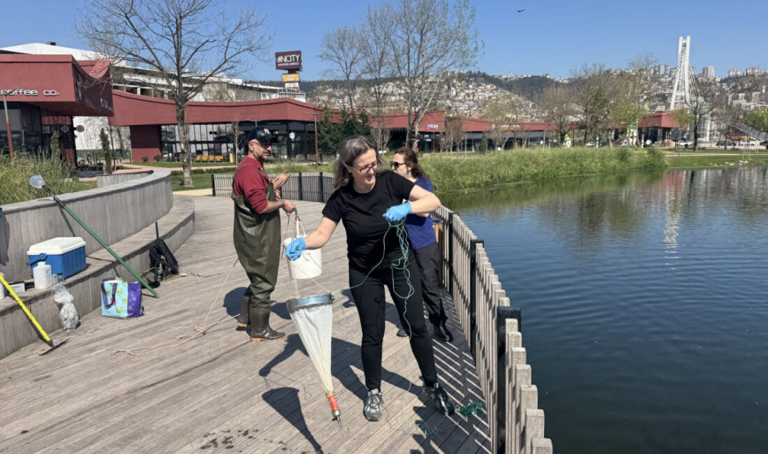 Kocaeli Büyükşehir Belediyesi, İzmit Millet Bahçesi içerisinde yer alan gölette