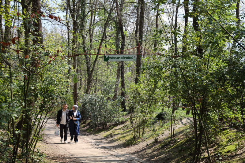 Kocaeli Büyükşehir Belediyesi’ne bağlı hizmet veren Ormanya, baharın gelişiyle birlikte