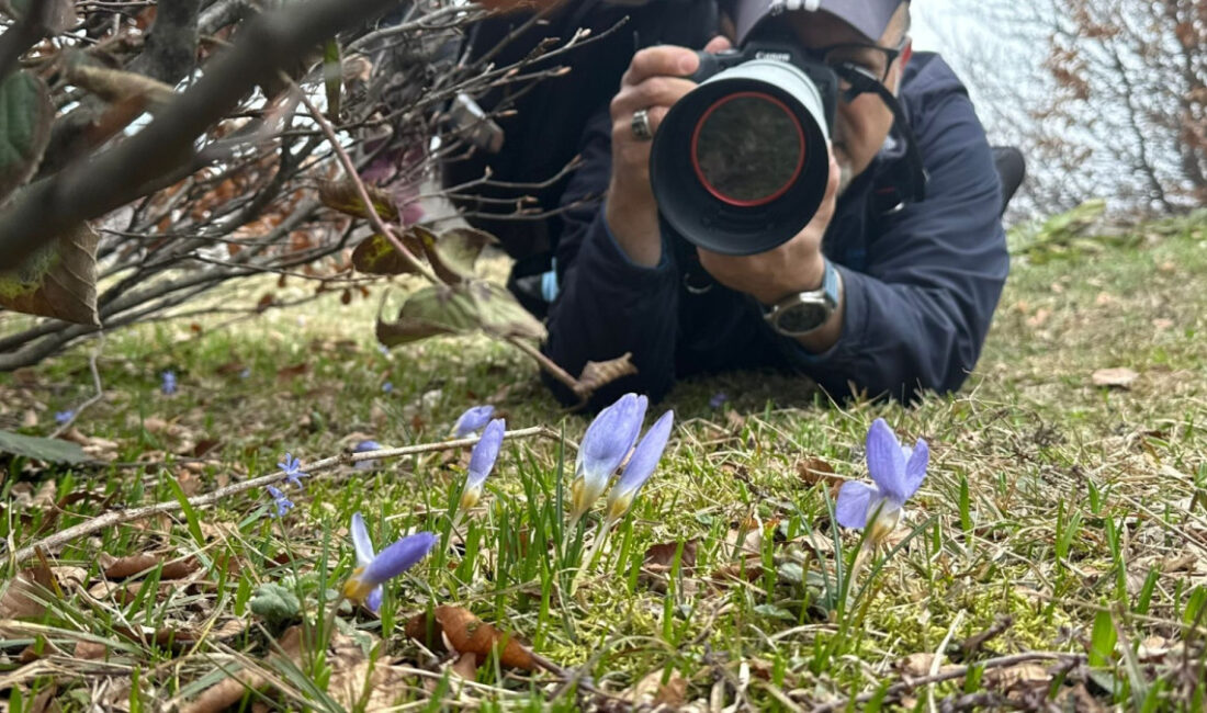 Büyükşehir Belediyesi’nin Turizm Haftası kapsamında Kartepe’nin zirvesinde yer alan Kuzuyayla’da