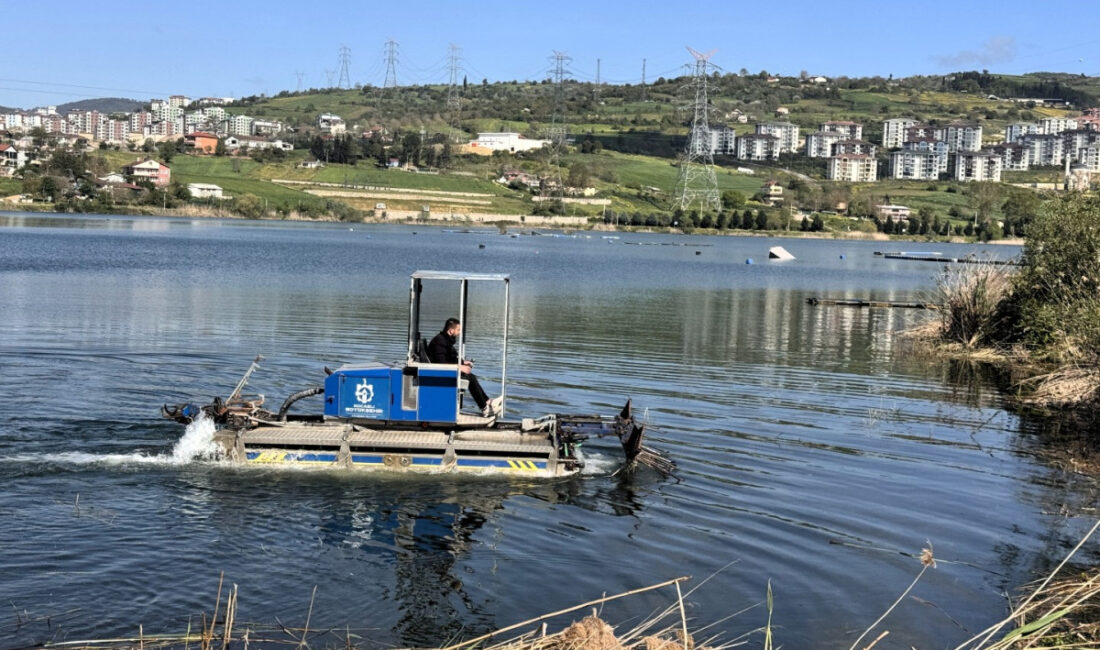 Kocaeli Büyükşehir Belediyesi, İzmit Körfezi başta olmak üzere ilimizdeki sulak