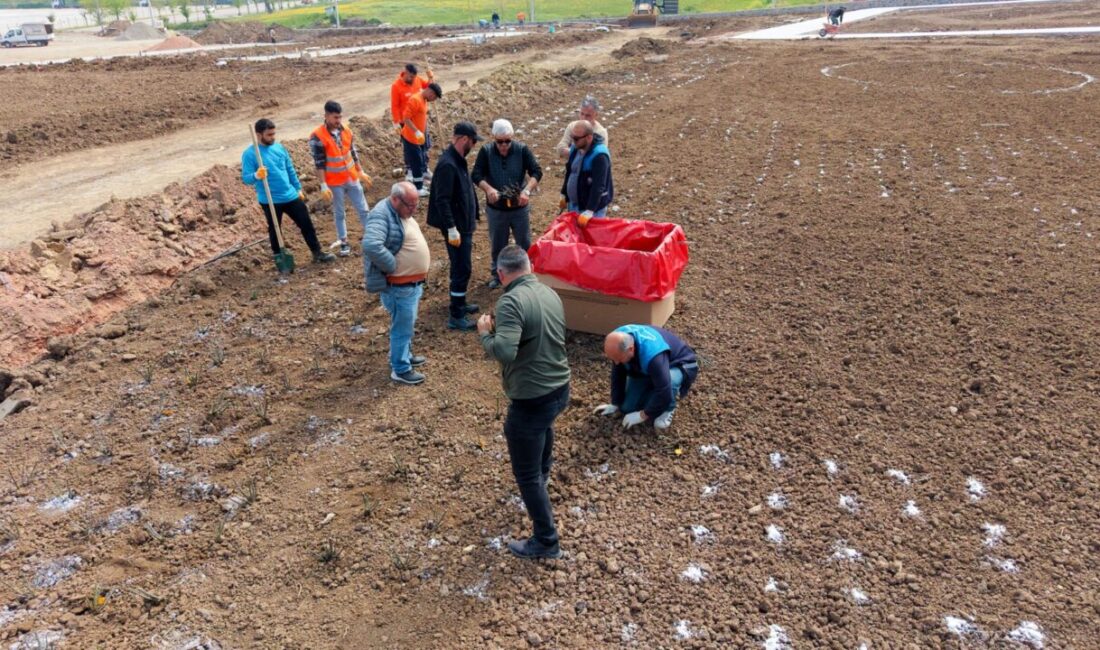 Yaylacık Mahallesi'nde yer alan 20 bin metrekarelik Gül Bahçesi Parkı'nda,