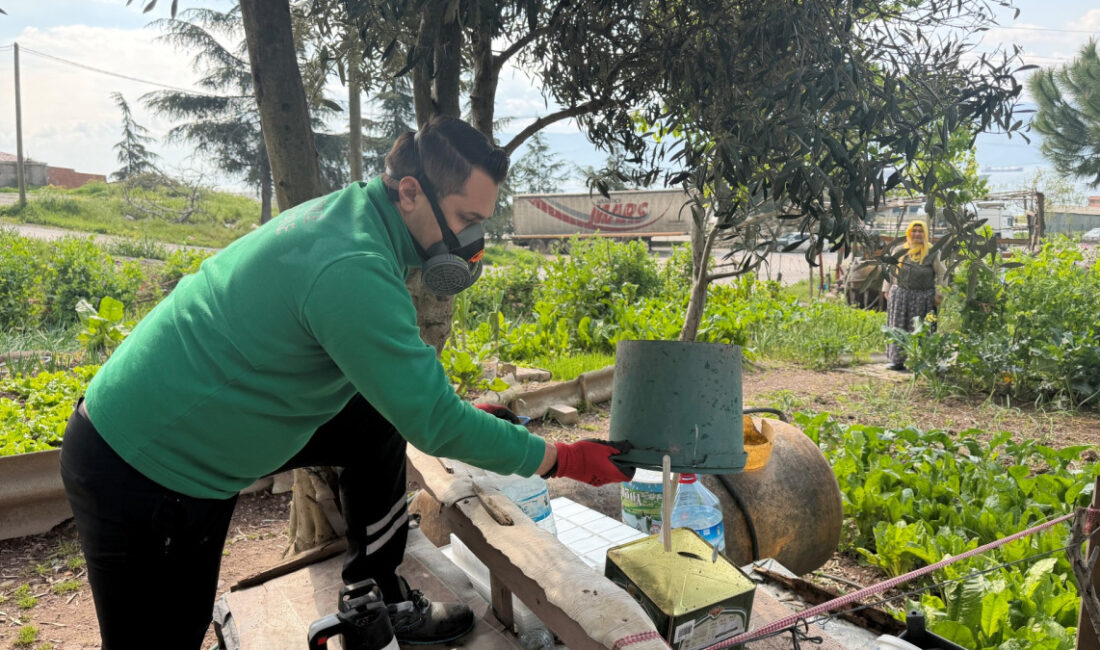 Kocaeli’de yaz aylarının yaklaşmasıyla birlikte sivrisinek ve karasinek tehdidine karşı