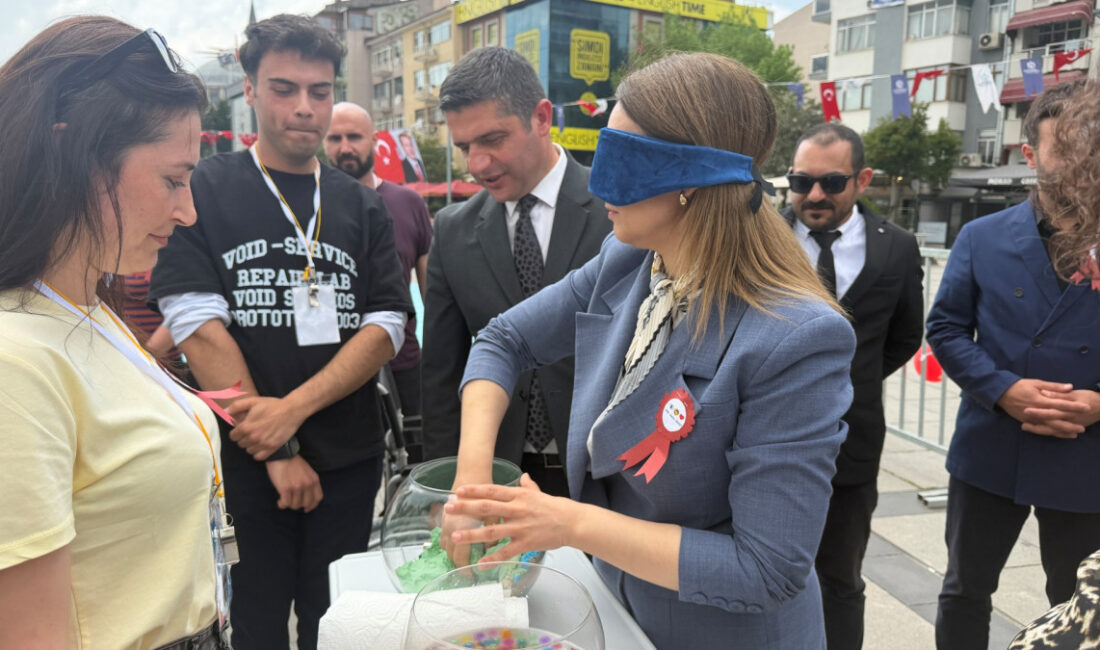 Her yıl 10-16 Mayıs tarihlerini kapsayan Engelliler Haftası, İzmit Kent