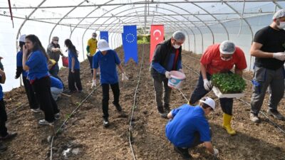 Kocaeli AB Bilgi Merkezi, çocukların toprakla buluşup doğayla bağ kurduğu