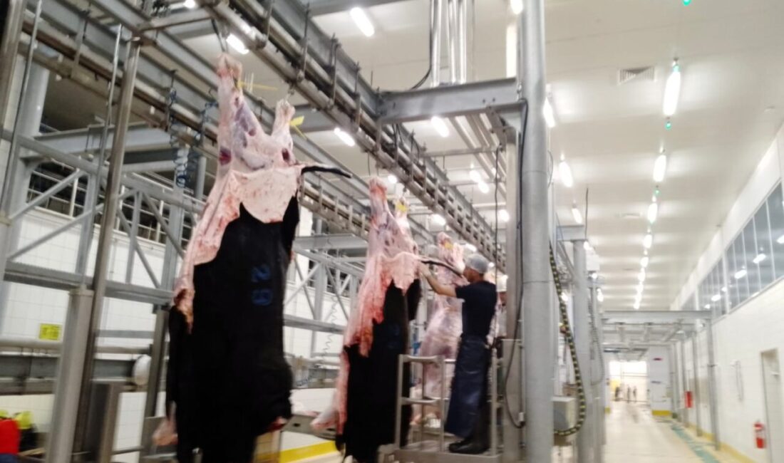 Kocaeli Büyükşehir Belediyesi, Kurban Bayramı’nda vatandaşların kurban ibadetlerini sağlıklı, güvenli