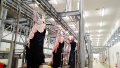 Kocaeli Büyükşehir Belediyesi, Kurban Bayramı’nda vatandaşların kurban ibadetlerini sağlıklı, güvenli