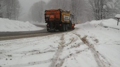 Kartepe, Mayıs ayının ilk günlerinde beyaza büründü. Bahar çiçeklerinin açması