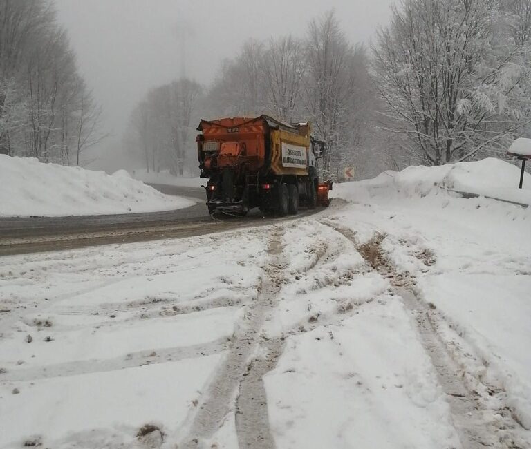 Kartepe, Mayıs ayının ilk günlerinde beyaza büründü. Bahar çiçeklerinin açması