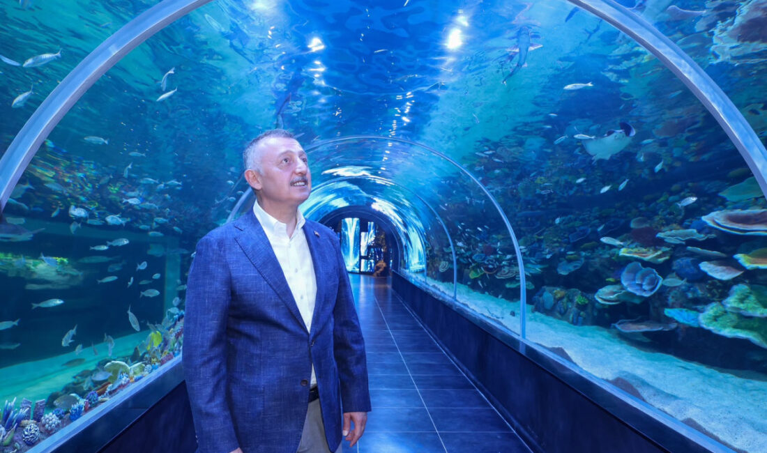 Kocaeli Büyükşehir Belediyesi, İzmit Millet Bahçesi içerisinde yer alan “Körfez