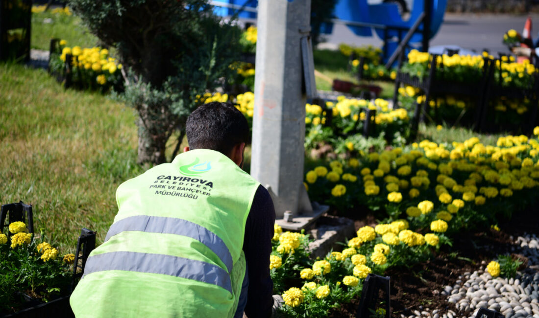 Çayırova Belediyesi Park ve Bahçeler Müdürlüğü’ne bağlı ekipler, ilçe genelinde