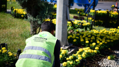 Çayırova Belediyesi Park ve Bahçeler Müdürlüğü’ne bağlı ekipler, ilçe genelinde