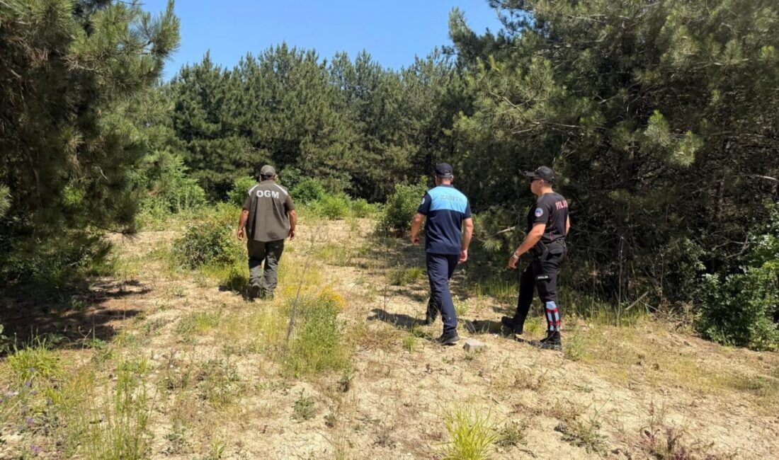 Dilovası Belediyesi, Orman İşletme Şefliği ve İlçe Emniyet Müdürlüğü ekipleri,