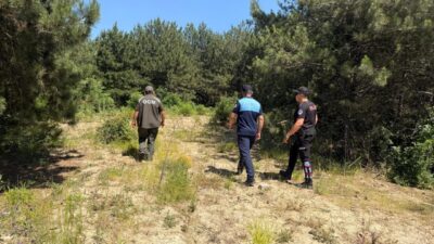 Dilovası Belediyesi, Orman İşletme Şefliği ve İlçe Emniyet Müdürlüğü ekipleri,
