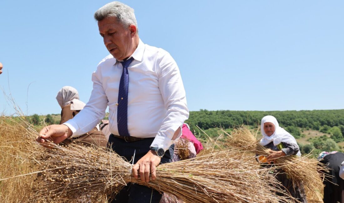 Kandıra Belediyesi tarafından yürütülen KETENKÖY Projesi kapsamında, yaklaşık 40 yıl
aradan