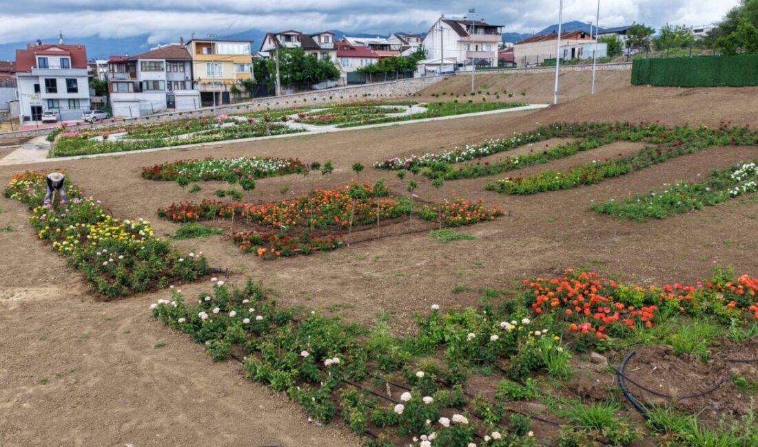 Başiskele Belediyesi tarafından kente kazandırılan Gül Bahçesi, yaklaşık 160 farklı