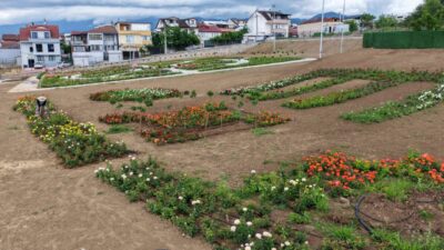 Başiskele Belediyesi tarafından kente kazandırılan Gül Bahçesi, yaklaşık 160 farklı