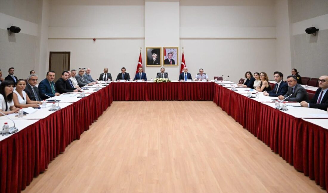 Kocaeli'nde çocuklara yönelik koruyucu ve destekleyici hizmetlerin daha etkin yürütülmesi