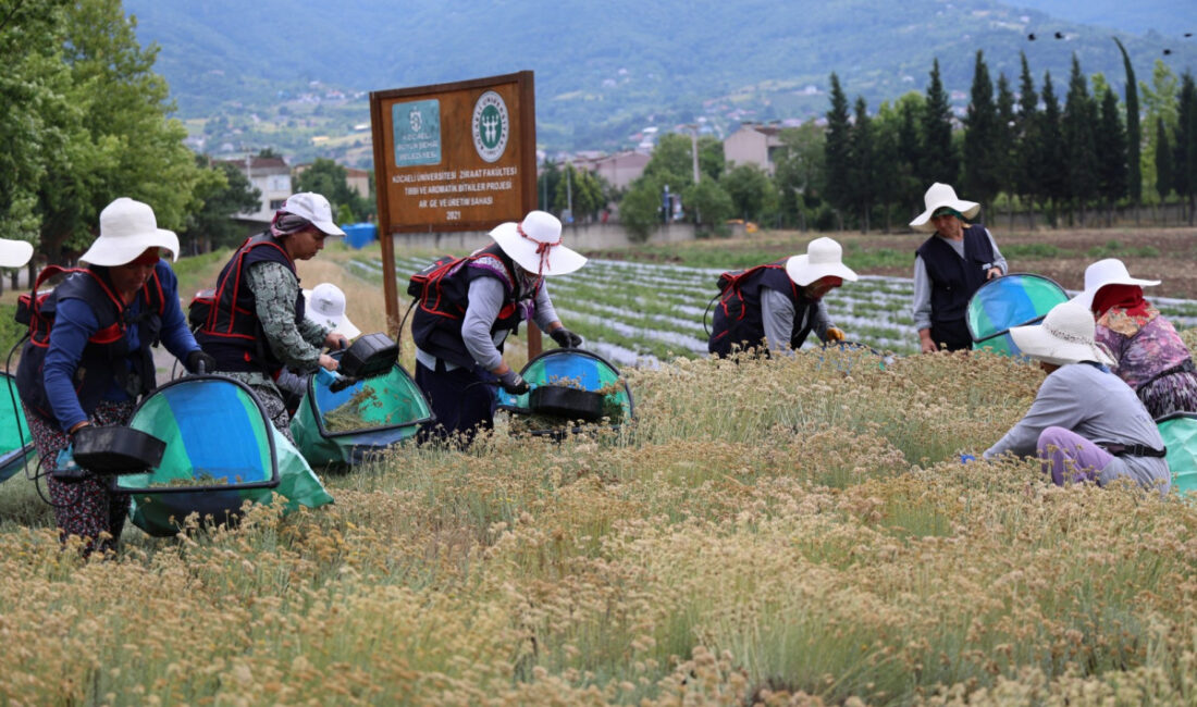 Kocaeli Büyükşehir Belediyesi’nin kırsal kalkınma vizyonu doğrultusunda hayata geçirdiği Tıbbi