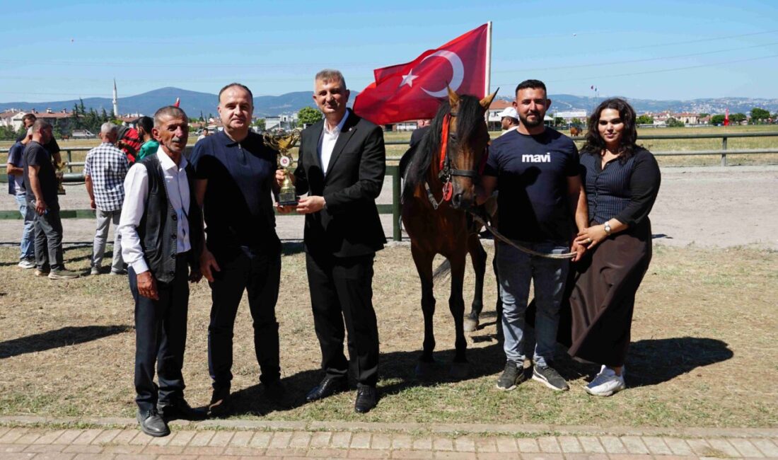 Kocaeli Büyükşehir Belediyesi, Gölcük Belediyesi ve Geleneksel Atlı Spor Dalları
