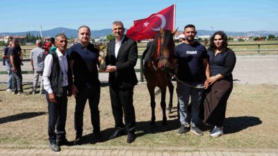 Kocaeli Büyükşehir Belediyesi, Gölcük Belediyesi ve Geleneksel Atlı Spor Dalları