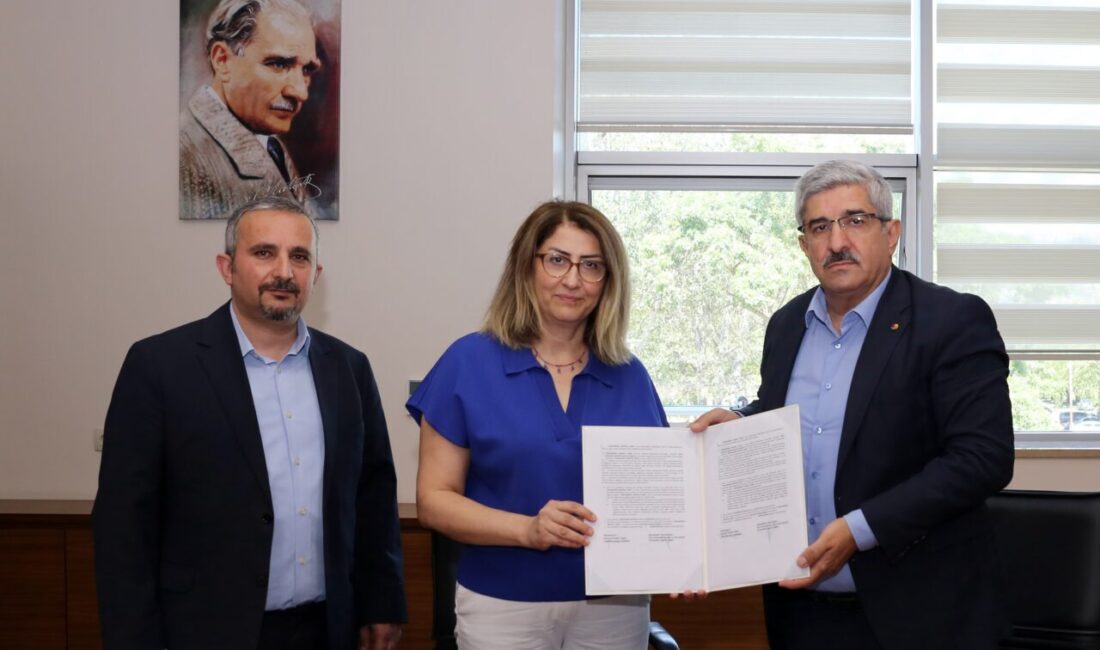 Üyelerini; sağlıktan eğitime, turizmden çeşitli hizmet sektörlerine kadar birçok alanda