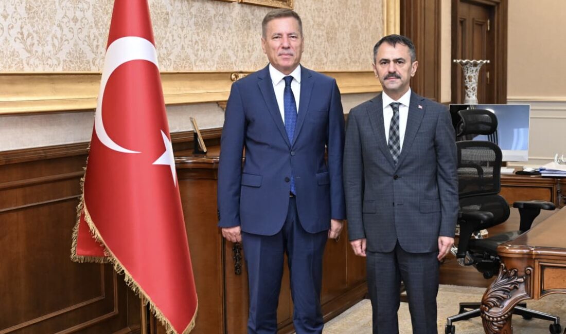 İçişleri Bakanlığı Afet ve Acil Durum Yönetimi Başkanlığı’nda (AFAD) Daire