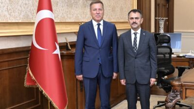 İçişleri Bakanlığı Afet ve Acil Durum Yönetimi Başkanlığı’nda (AFAD) Daire