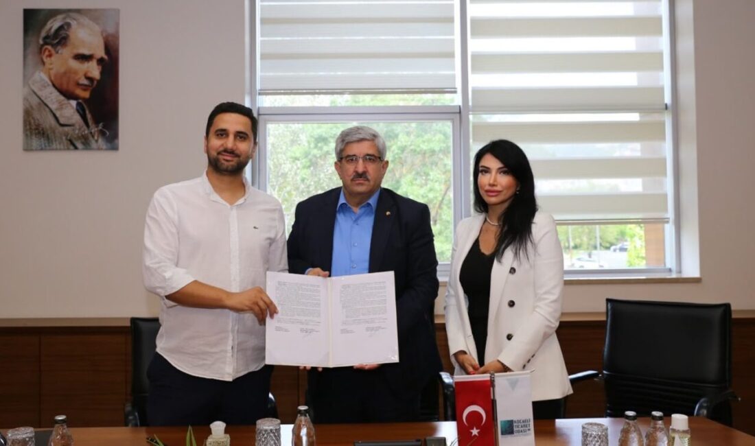 Üyelerini; sağlıktan eğitime, turizmden çeşitli hizmet sektörlerine kadar birçok alanda