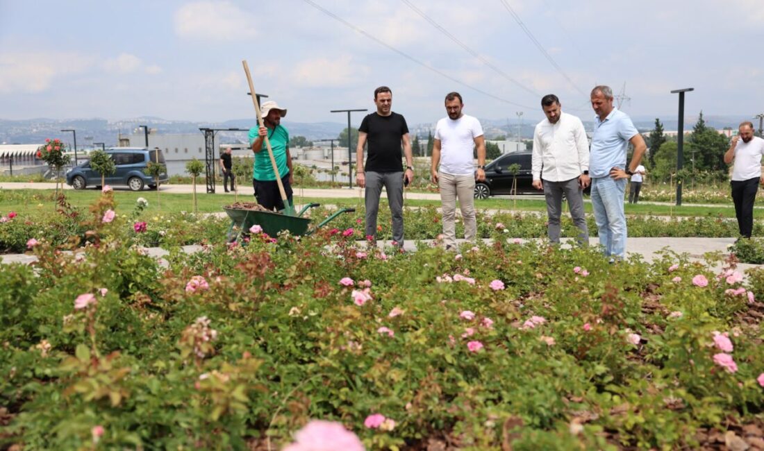 Başiskele Belediye Başkanı M. Yasin Özlü, ilçenin dört bir yanında